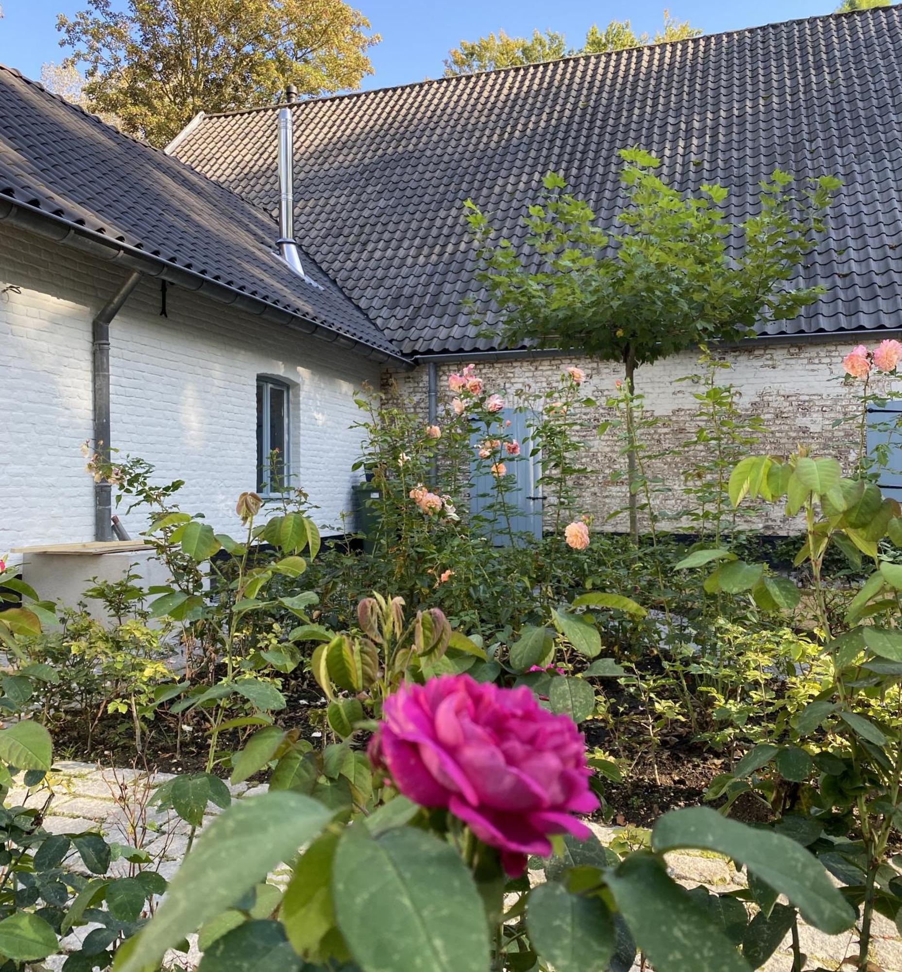 Cottage Landgoed Frymerson Sint Odilienberg Ngoại thất bức ảnh