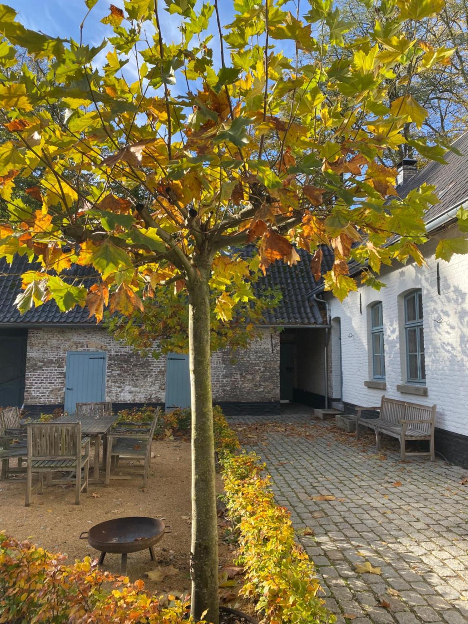 Cottage Landgoed Frymerson Sint Odilienberg Ngoại thất bức ảnh